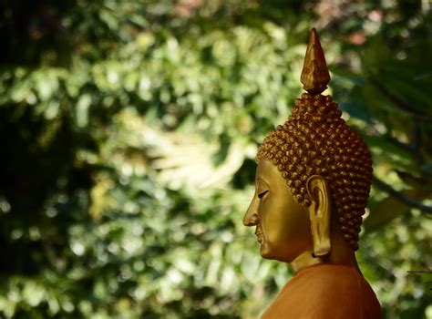  Mystical Laws: A Journey into the Heart of Thai Buddhism